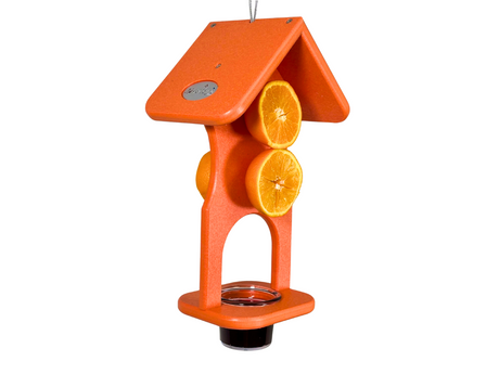 Truevine Designs orange plastic bird feeder with three juicy orange slices a small glass dish and a bright orange house-shaped roof
