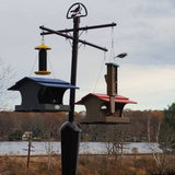 Photograph of a backyard bird feeder station featuring three different feeders a blue and gray birdhouse a red-roofed feeder and a yellow and black tube feeder near a lake with autumnal trees in the background