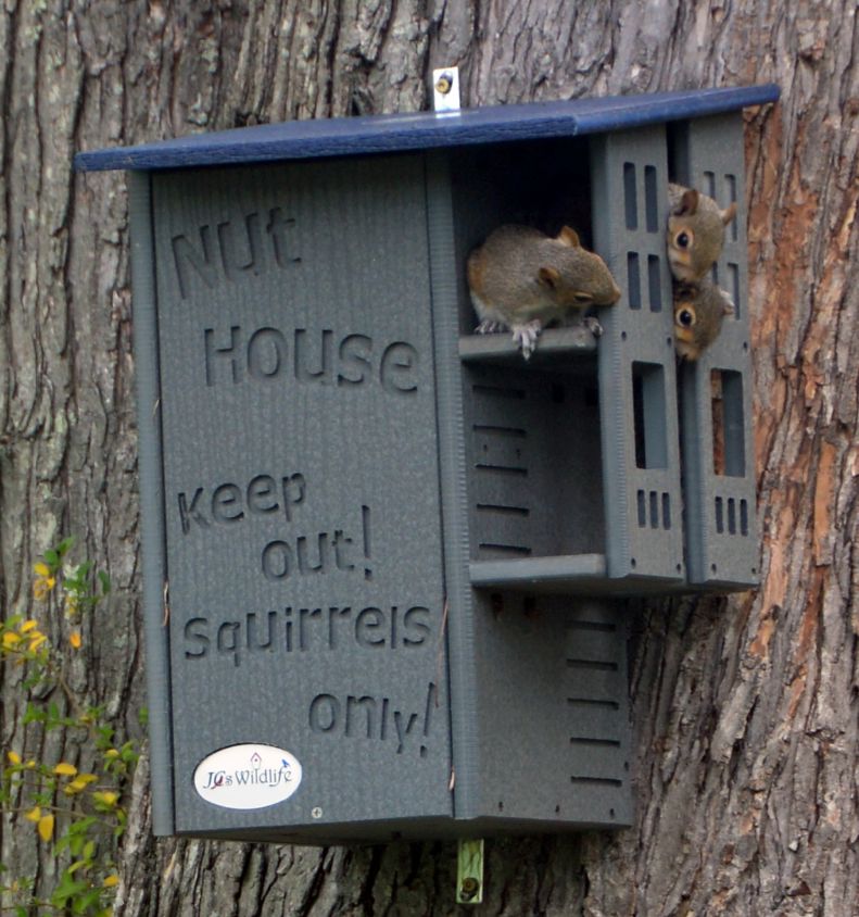 JCS Wildlife