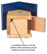 Ventilation hole in Chickadee birdhouse ensures healthy airflow