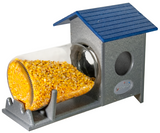 JCS Wildlife Squirrel Under Glass Mason Jar Peanut and Loose Corn Squirrel Feeder filled with corn