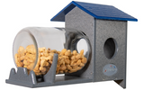 JCS Wildlife Squirrel Under Glass Mason Jar Peanut and Loose Corn Squirrel Feeder with peanuts.