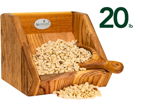 JGs Wildlife wooden feeder filled with twenty pounds of shelled peanuts showing rich wood grain a  wooden scoop and some scattered peanuts