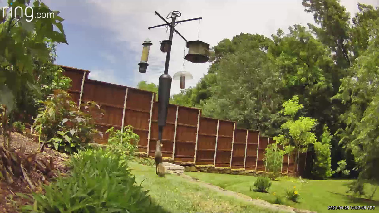 Squirrel Stopper Deluxe Squirrel Proof Bird Feeder Pole System with Baffle