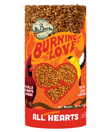 Mr. Bird's illustration of a sunflower seed cylinder features a burning heart design with a cardinal and goldfinch, showcasing ultra-long-lasting sunflower seeds in vibrant orange and yellow tones
