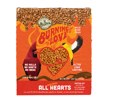 Mr. Bird Burning Love Large Cake featuring sunflower hearts, spicy bird food without squirrels, 2lb 4oz package.