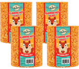 Mr. Bird's product photography shows four Flaming Hot Feast birdseed cakes featuring a cartoon squirrel, vibrant orange seeds, and  prominent text detailing the product's heat and bird-only use

