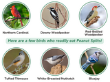 JCS Wildlife