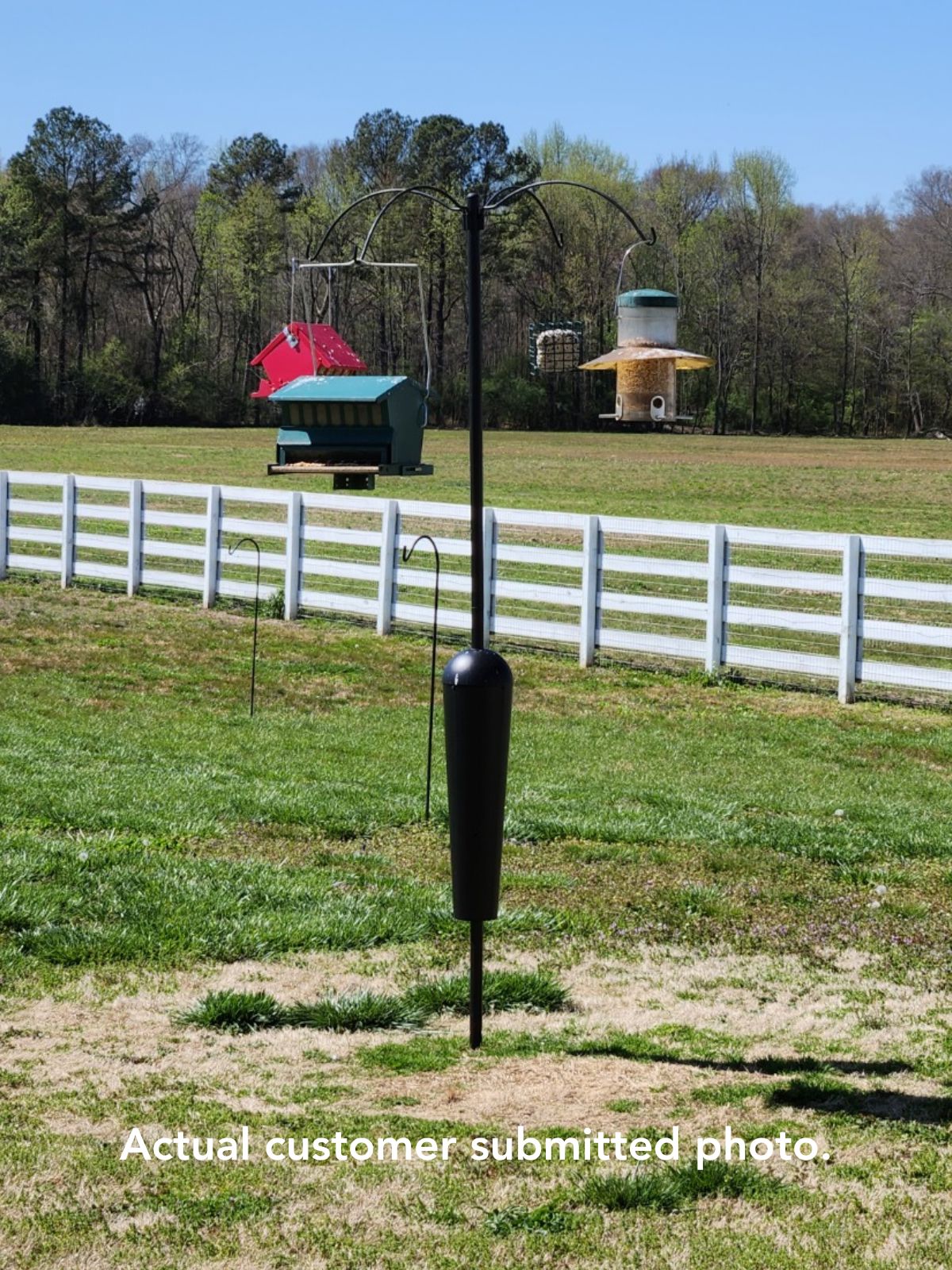 JCS Wildlife