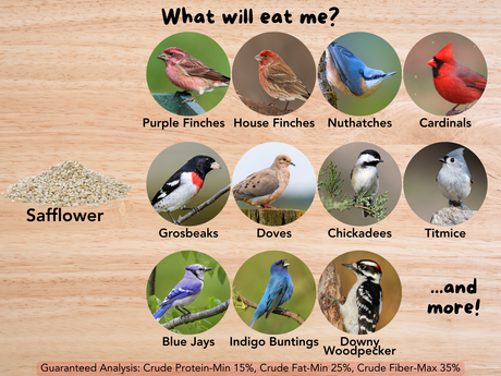 Bird for Pound Safflower