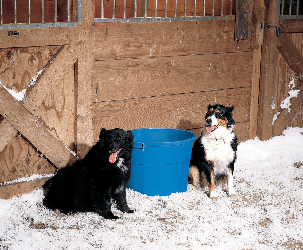 Two dogs sitting next to a blue API 16-gallon heated bucket inside a snowy barn.
