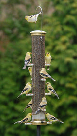 JCS Wildlife