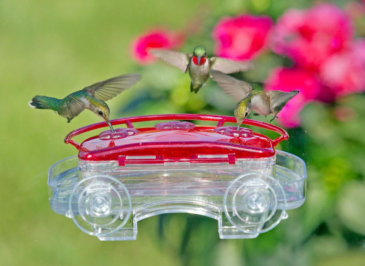Aspects 407 Jewel Box Window Hummingbird Feeder, 8 Oz.