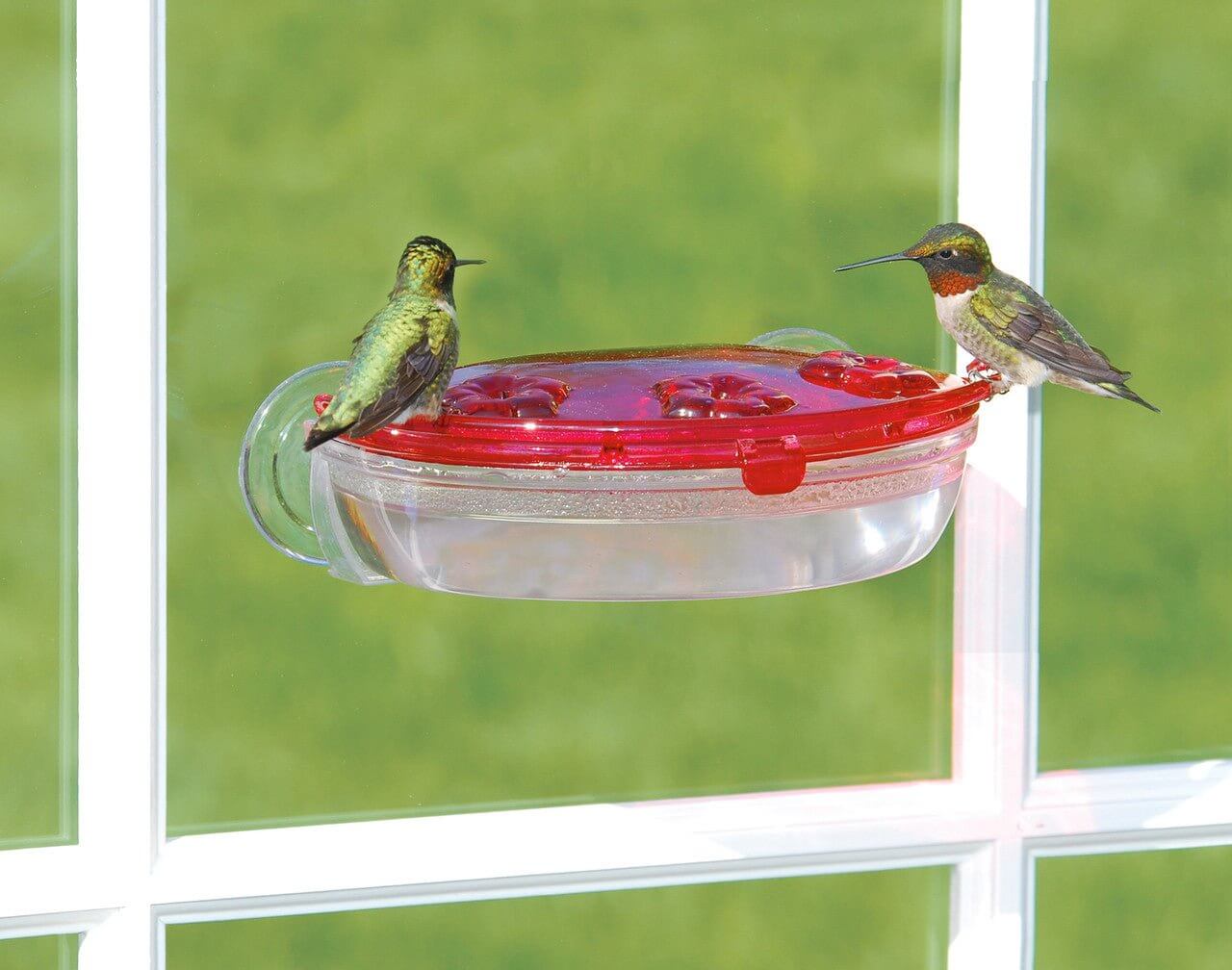Aspects 407 Jewel Box Window Hummingbird Feeder, 8 Oz.