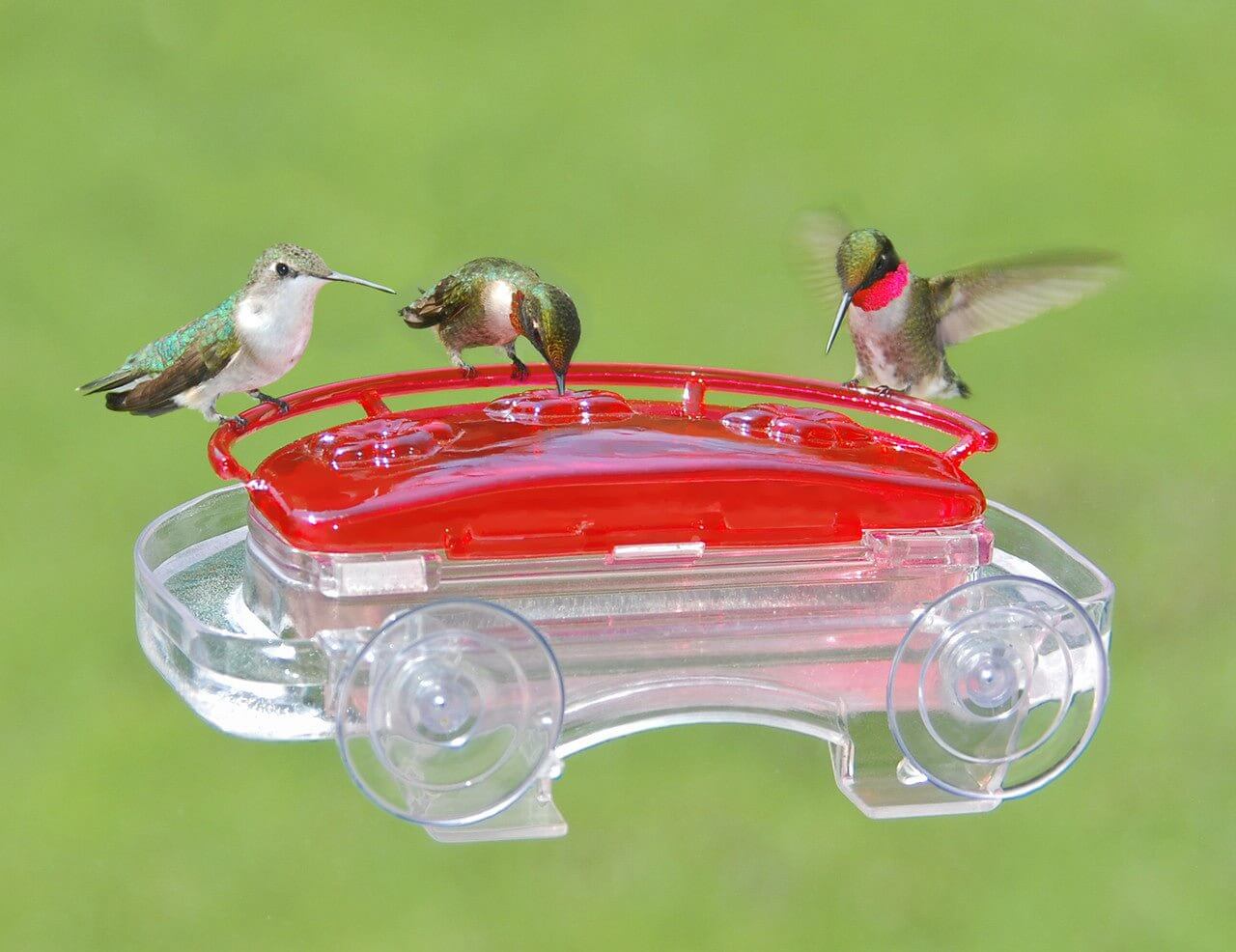 Aspects 407 Jewel Box Window Hummingbird Feeder, 8 Oz.