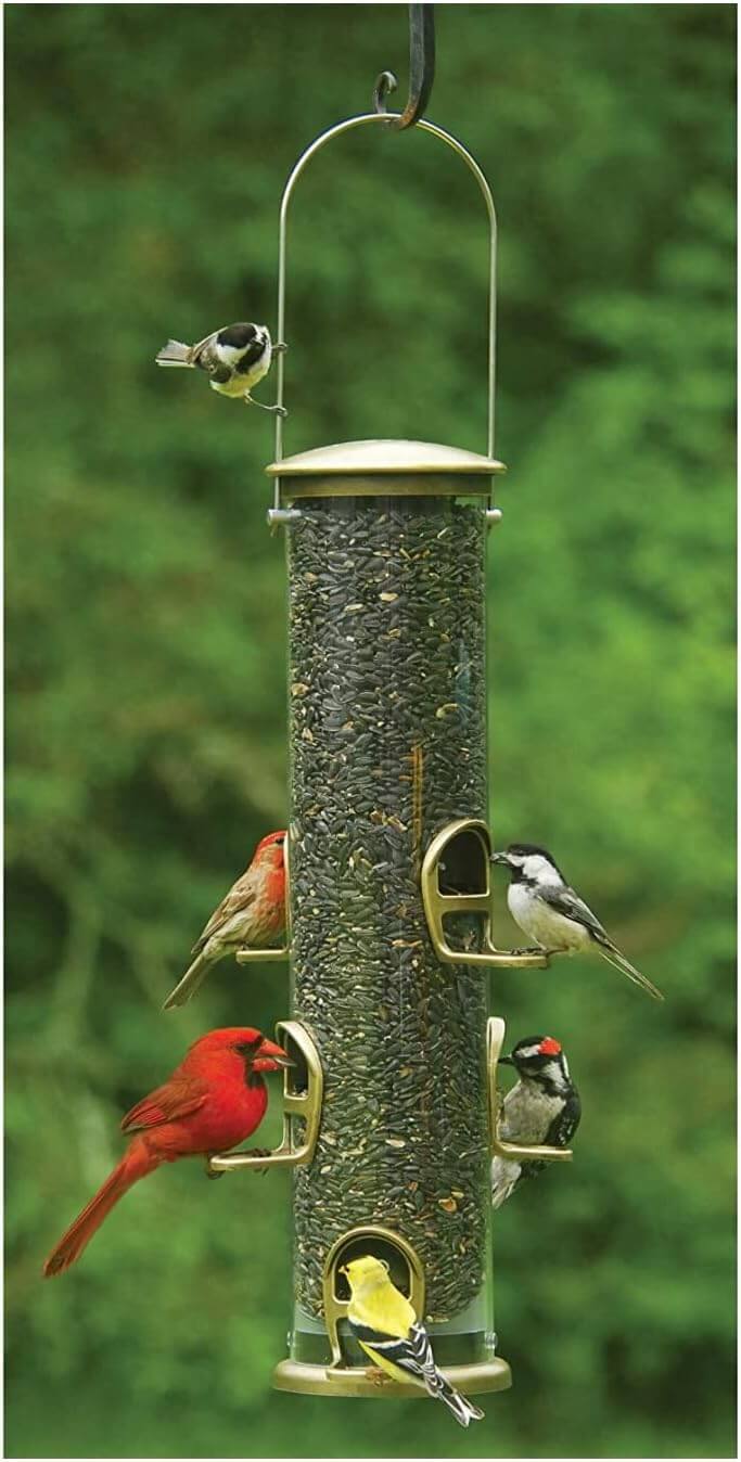 JCS Wildlife
