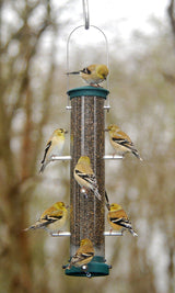 JCS Wildlife