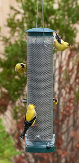 JCS Wildlife