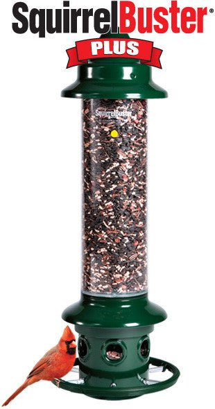 Brome Squirrel Buster Bird Feeder - Thumbnail 2