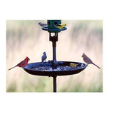 Various birds perching and feeding on the Brome Bird Care Seed Buster Seed Tray Catcher that eliminates ground mess.