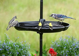 Birds feeding on Brome Bird Care Seed Buster Seed Tray Catcher, a 20" seed tray that eliminates ground mess and attracts wild birds.