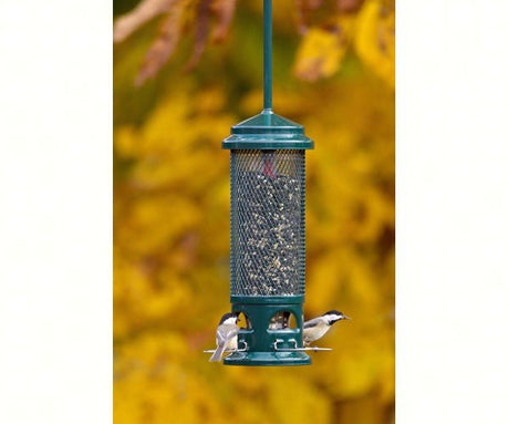 Brome Squirrel Buster Legacy Wild Bird Feeder 1082 with birds feeding, surrounded by yellow autumn leaves