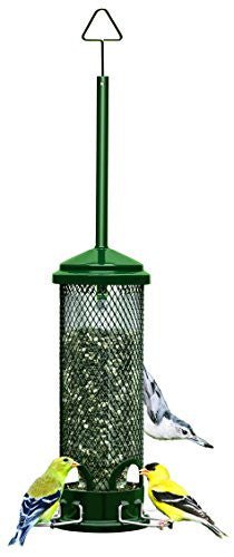 Brome Squirrel Buster Mini Bird Feeder 1055 with colorful birds feeding, compact, squirrel proof design.