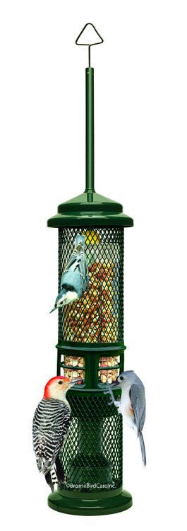 Brome Squirrel Buster Nut Feeder 1053 with birds, squirrel-proof design, two meshes for nuts and fruit, green color