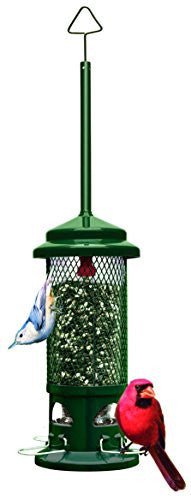 Brome Squirrel Buster Standard Bird Feeder 1057 with red and blue birds, featuring a patented squirrel-proof and chew-proof design