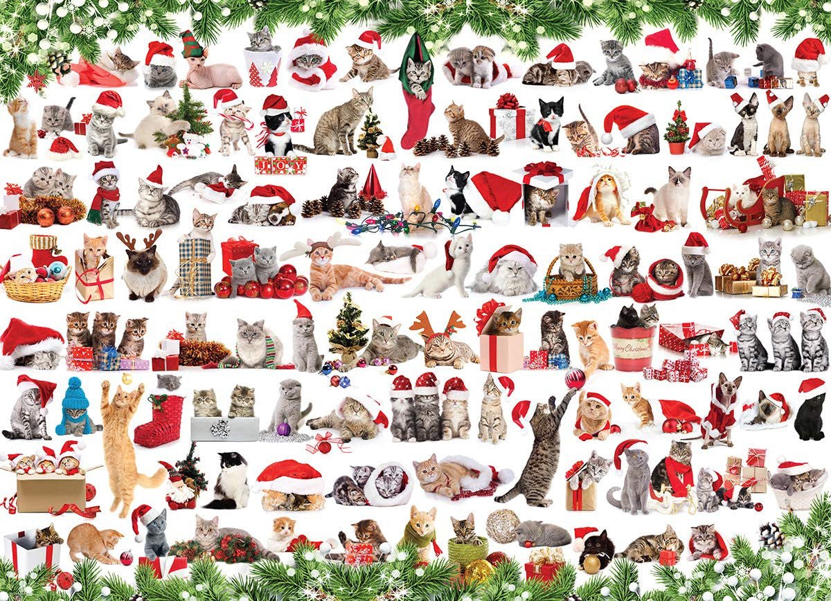 Eurographics Puzzle 1000 Pezzi 'Gatti', Qualità Premium, Fustellato, Cartone Riciclato, Adatto A Tutta La Famiglia