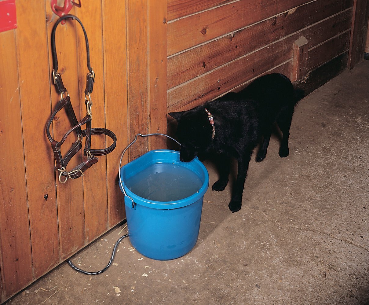 JCS Wildlife