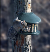 JCS Wildlife