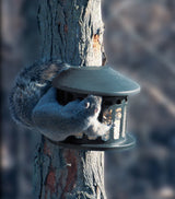 JCS Wildlife