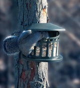 JCS Wildlife