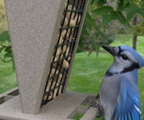 JCS Wildlife