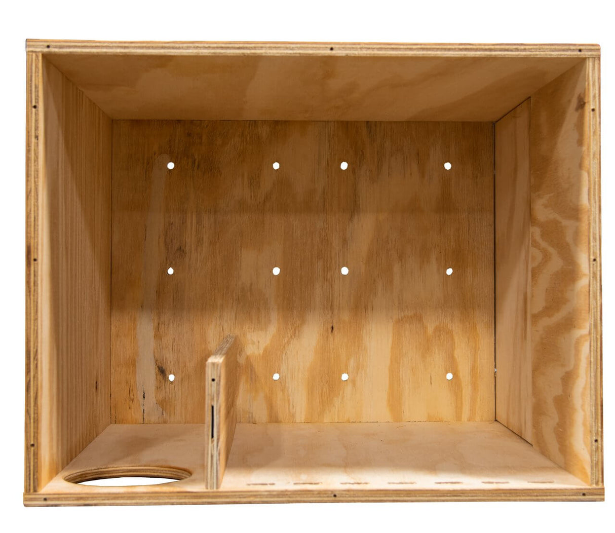 Interior view of JCS Wildlife Large Barn Owl Box DIY assembly kit with perforated walls and exercise platform.