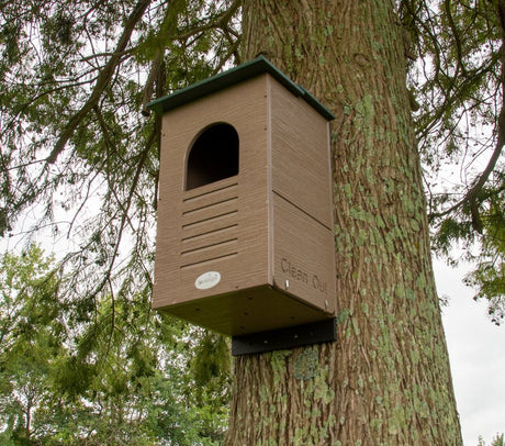JCS Wildlife Recycled Poly Lumber Barred Owl Nesting Box mounted on a tree.