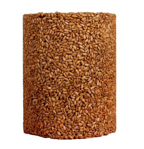 Mr. Bird Burning Love Large Cylinder filled with sunflower hearts, attracting a variety of birds.
