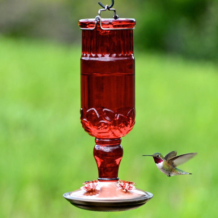 Red antique glass hummingbird feeder with copper base and four feeding ports hanging outdoors with a hummingbird drinking nectar.