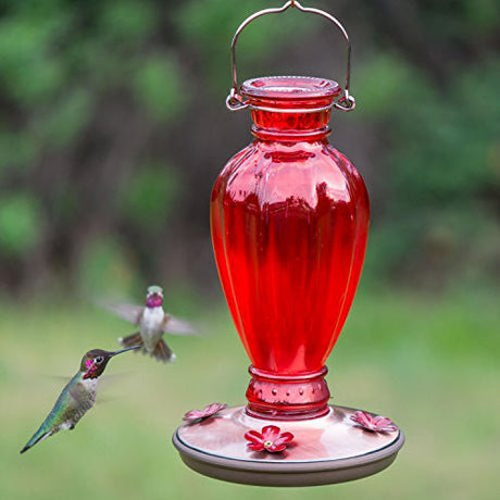 Perky-Pet 8133 Red Daisy Vase Vintage-Style Glass Hummingbird Feeder with 4 flower-shaped feeding ports, attracting hummingbirds in a garden.