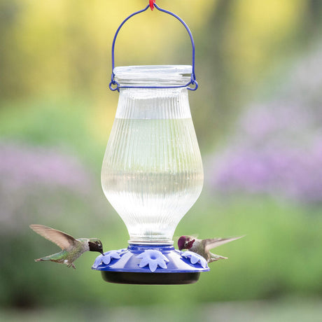 Perky-Pet Grand Oasis Top-Fill Glass Hummingbird Feeder 38 oz in use with two hummingbirds feeding