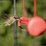 Hummingbird feeding from a Perky-Pet Hummerbar with 22 ports, a horizontal-hanging 2-foot feeding tube filled with nectar.