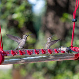 Hummingbirds feeding from Perky-Pet Hummerbar with 22 ports in a garden setting.