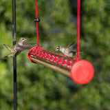 Two hummingbirds feeding from the Perky-Pet Hummerbar, a 22-port horizontal feeder filled with nectar, hanging in a garden.