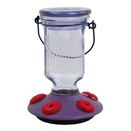 Perky-Pet Lavender Field Top-Fill Glass Hummingbird Feeder 16 oz easy to fill and clean