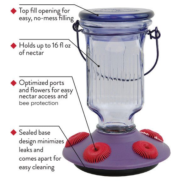 Perky-Pet Lavender Field Top-Fill Glass Hummingbird Feeder 16 oz with labeled features including top-fill opening, 16 oz capacity, and easy cleaning