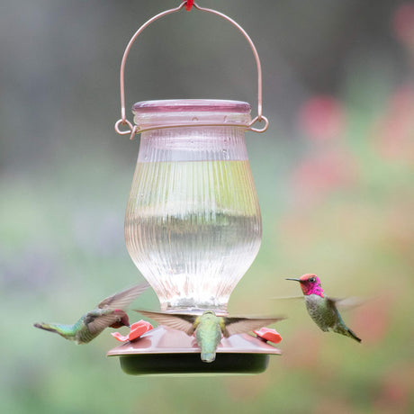 Perky-Pet Rose Gold Top-Fill Glass Hummingbird Feeder with three hummingbirds drinking nectar