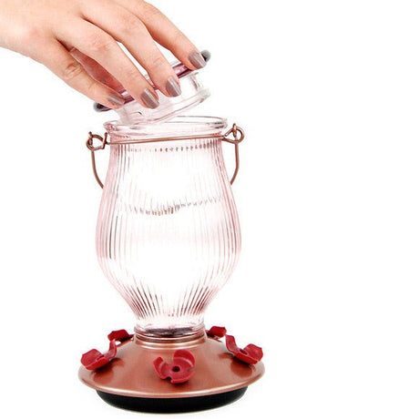 Perky-Pet Rose Gold Top-Fill Glass Hummingbird Feeder with wide-mouth opening being filled