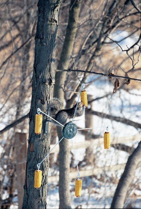 Squirrel on a tree using the Squirrel Go Round Feeder with 5 corn feeding stations.