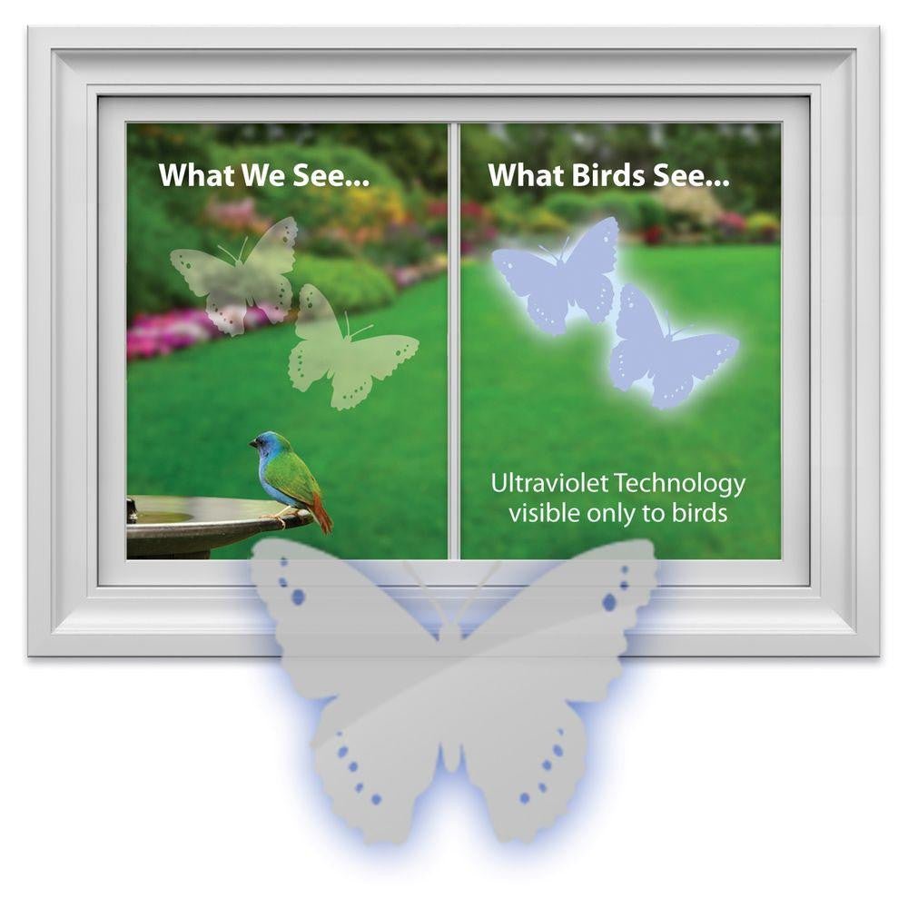 Window Alert Butterfly Decals Reflect Ultraviolet Light to Protect Birds from Collisions